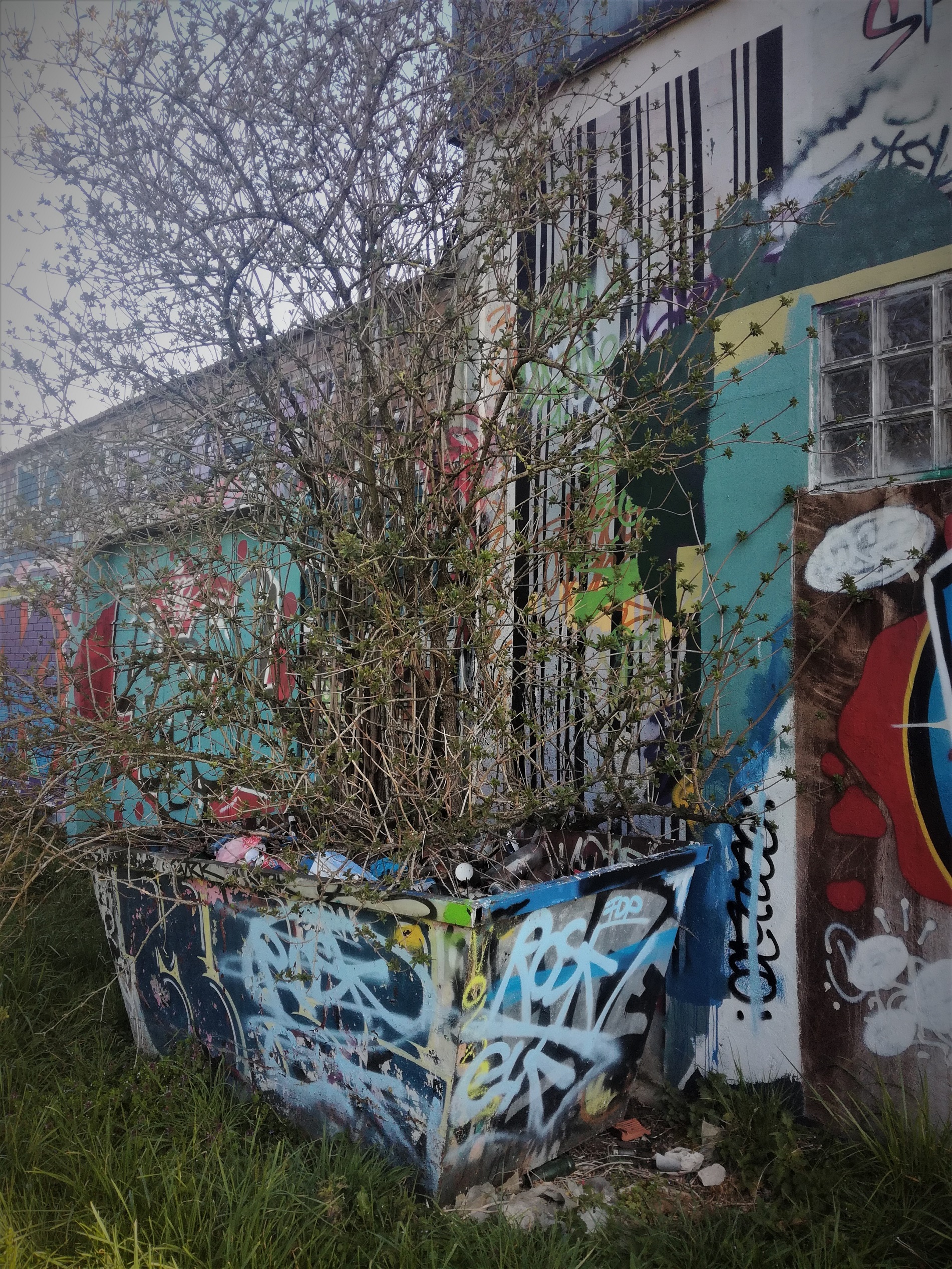 Street art sur un bac
