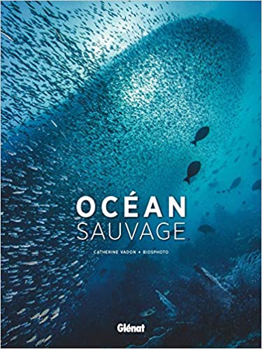 Couverture du livre Océan sauvage