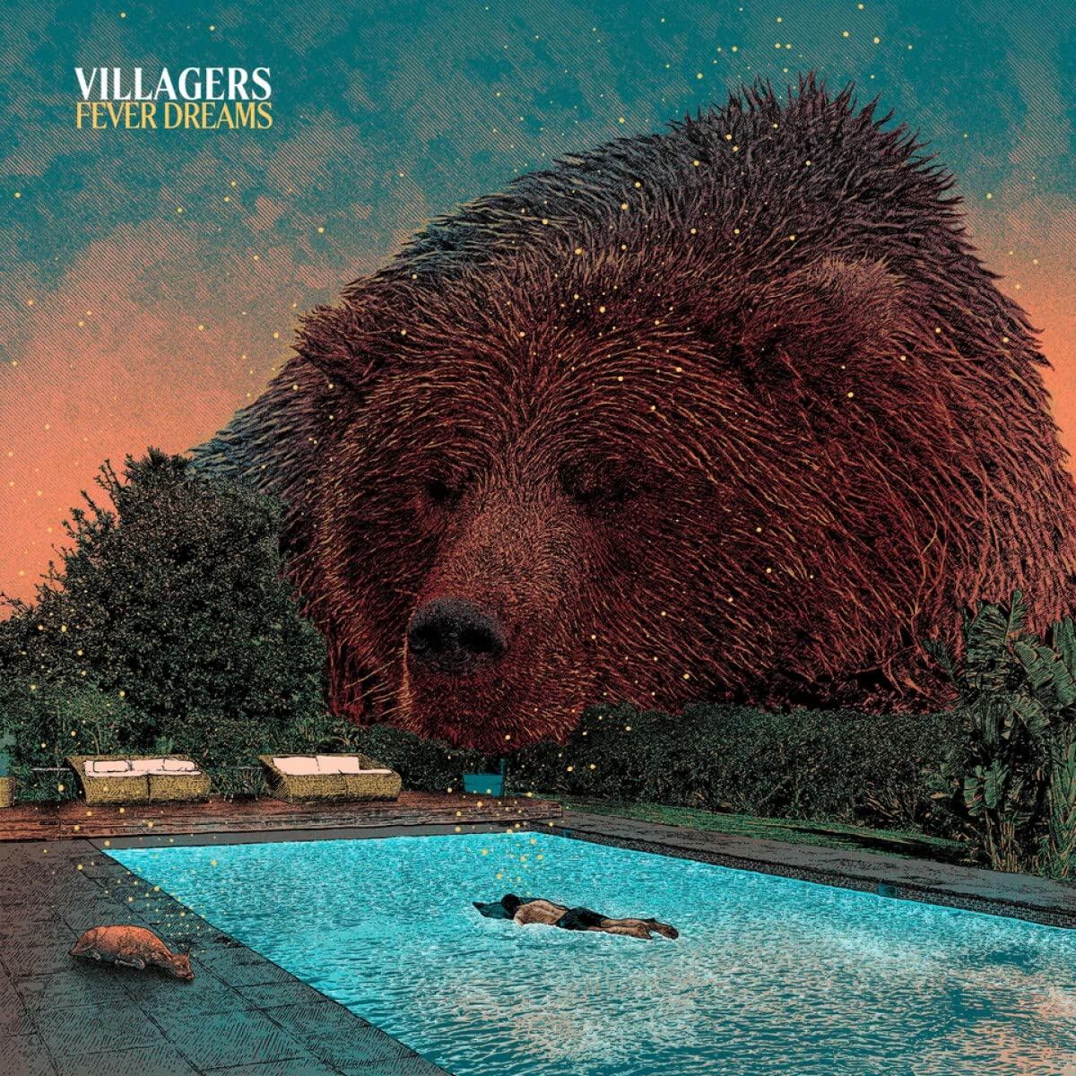 ouverture de l'album Fever Dreams de Villagers (Vinyle)