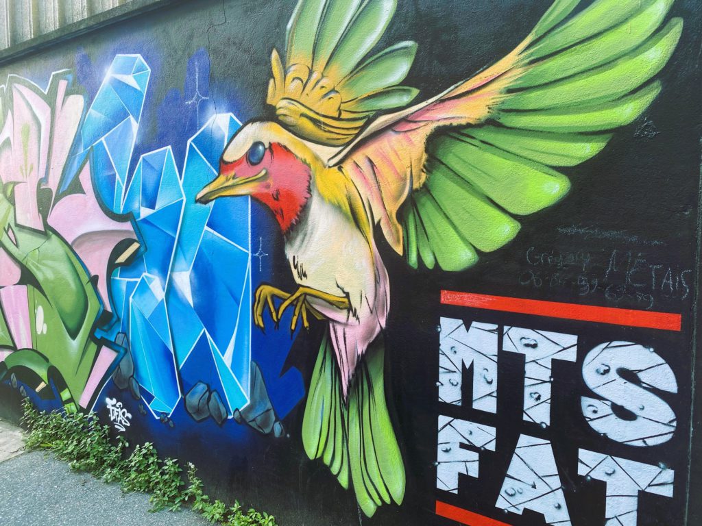 Street art représentant un oiseau