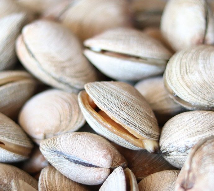 Technique culinaire : Nettoyer des moules ou des palourdes