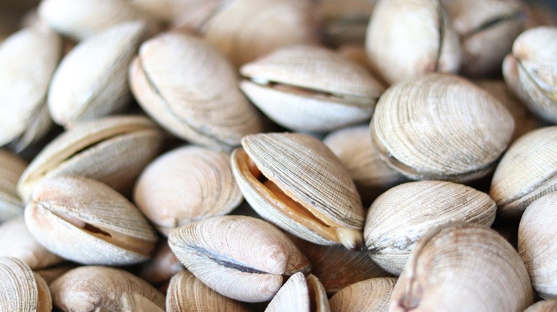 Technique culinaire : Nettoyer des moules ou des palourdes