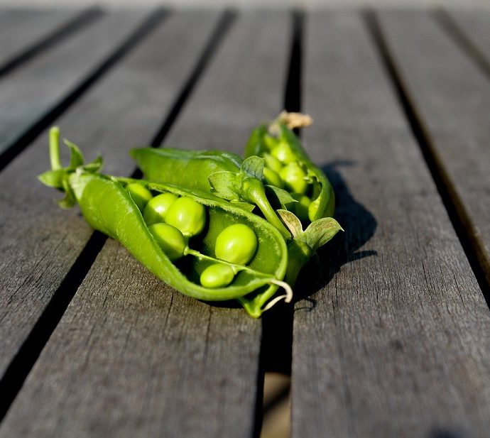 Technique culinaire : Écosser des petits pois frais