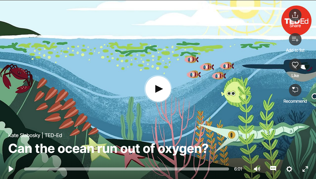 Quel est l’état de nos océans ?