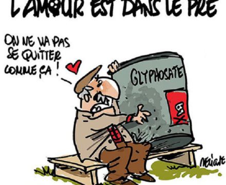 Glyphosate :  Amour, Lobbys & Inquiétude