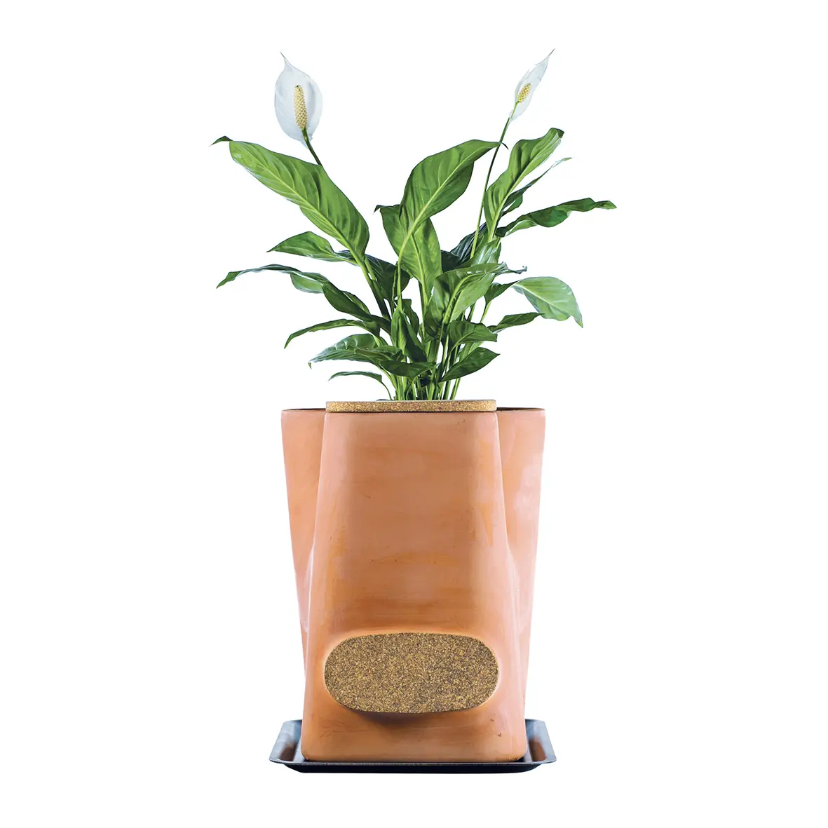 Image du composteur Pot de fleurs lombricomposteur de Transfarmers