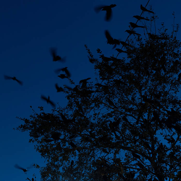 Holy Sun EP de Makèz